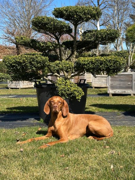 Auf Schulung mit dabei